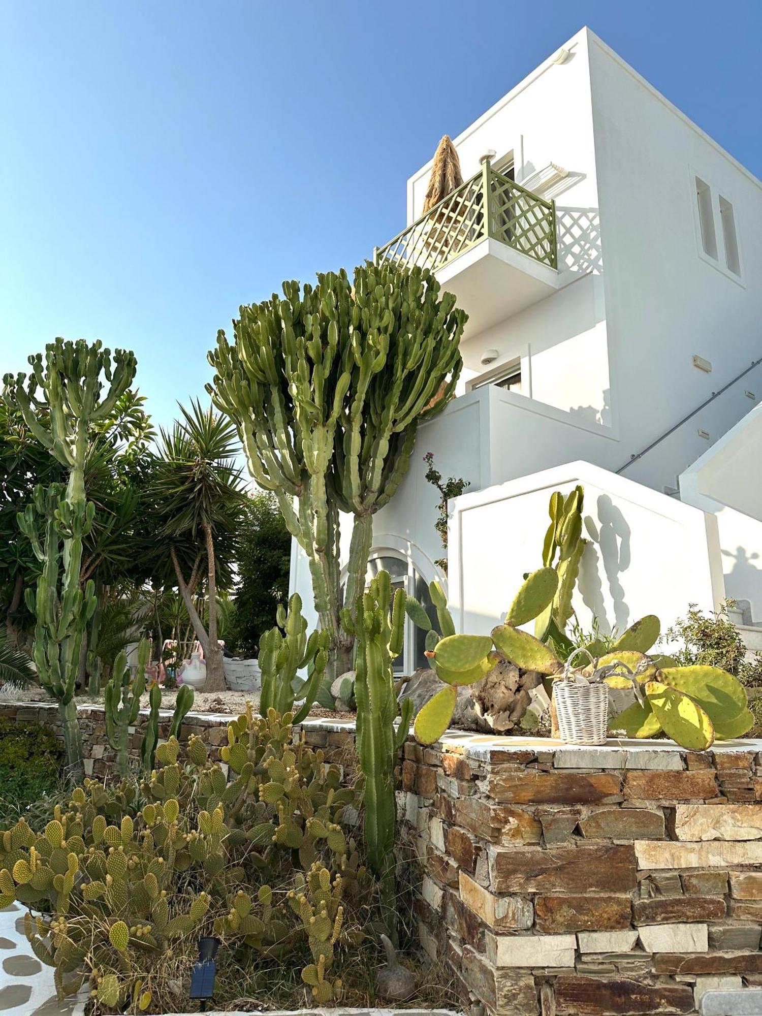 Artemis Hotel Antiparos Bagian luar foto
