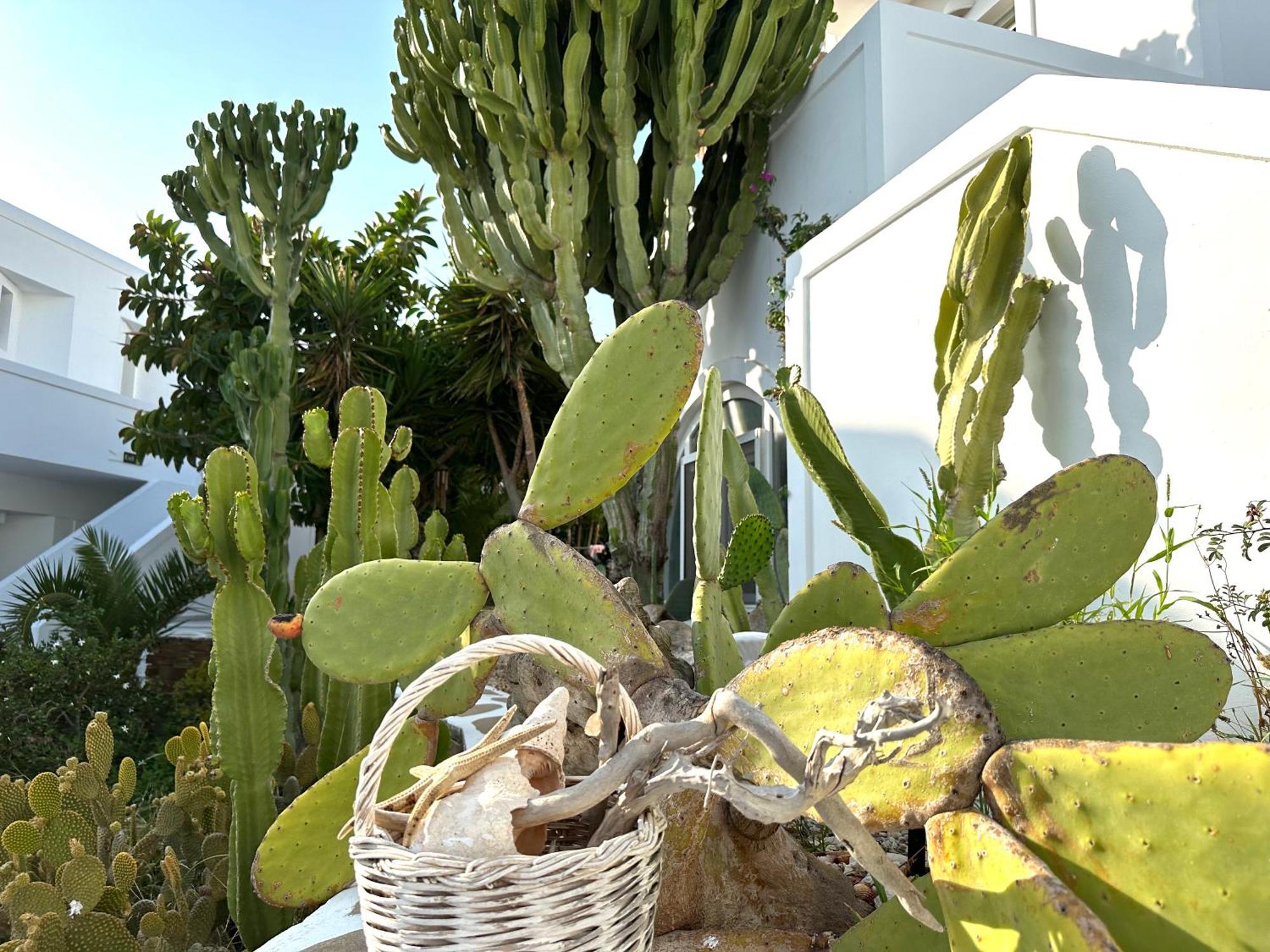 Artemis Hotel Antiparos Bagian luar foto