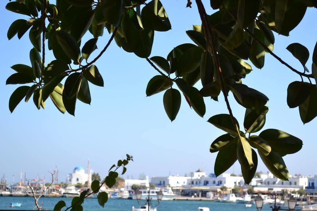 Artemis Hotel Antiparos Bagian luar foto