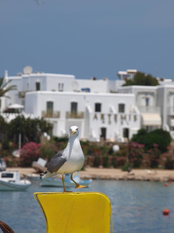 Artemis Hotel Antiparos Bagian luar foto